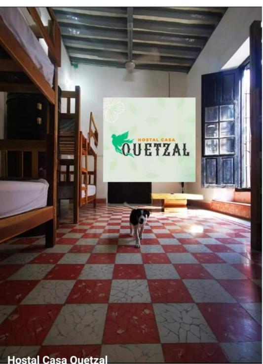 Hostel Casa Quetzal Campeche Exterior photo